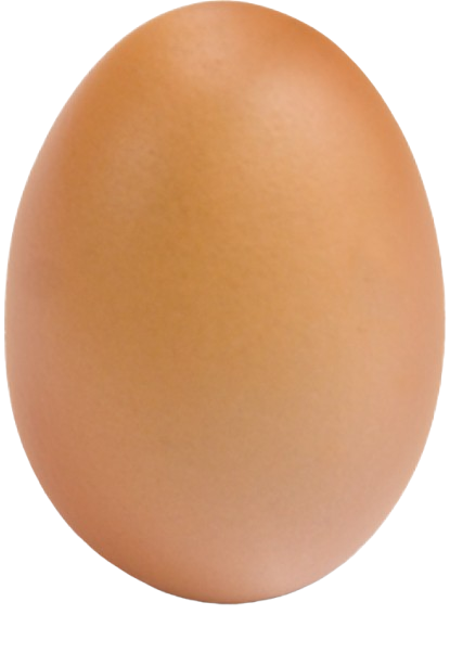egg